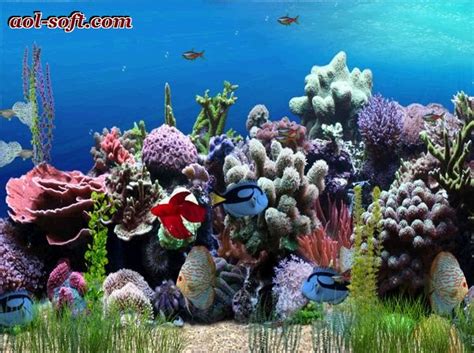 48 3d Animated Aquarium Wallpaper Wallpapersafari