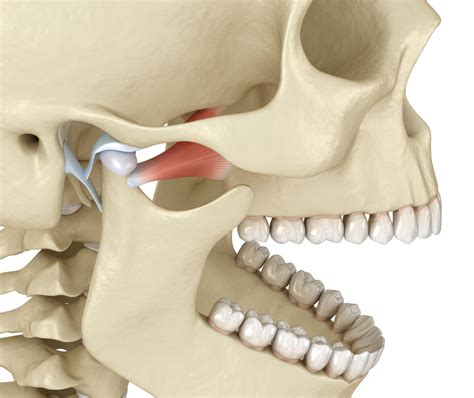 Tmj Disorders Related To A Long List Of Health Problems Ban R Barbat