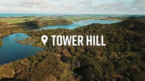 Tower Hill Wildlife Reserve Youtube