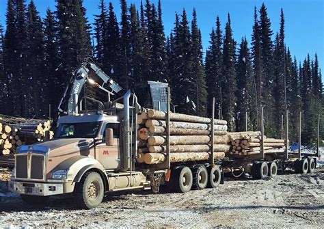 Hauling Logs In British Columbia