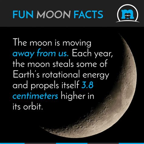 9 Amazing Moon Facts Interesting Facts About The Moon
