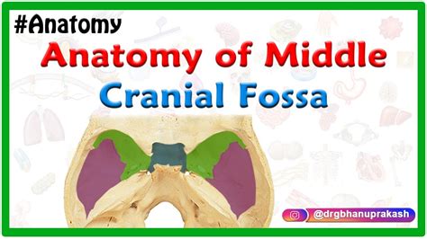 Anatomy Of Middle Cranial Fossa Youtube