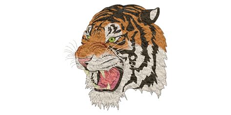 Siberian Tiger Png Picture Png Mart