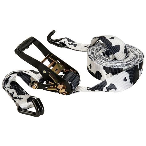 I'd look at home depot, tractor supply, etc. HDX 27 ft. x 2 in. Heavy-Duty Ratchet Tie-Down-04622 - The ...