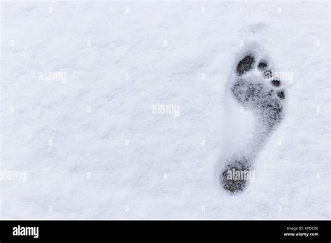 Barefoot Snow Hi Res Stock Photography And Images Alamy