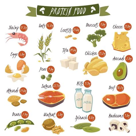 It is necessary for the growth and repair of all tissues, along with many other functions. 35 High Protein Foods (Easily Available Veg & Non-veg ...