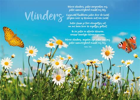 Zomer.org is a premium domain for sale.a great domain can be the key to your success.get a premium domain for this name's keyword is zomer. Placemat 'Zomer' - place-mats.nl