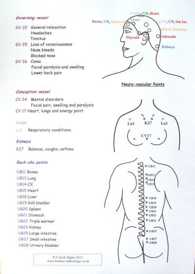The Indian Head Massage Chart Depicts Various Diagrams That Would Be Useful To All Massage