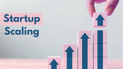 Essential Tips For Successfully Scaling Your Startup The Startuplab