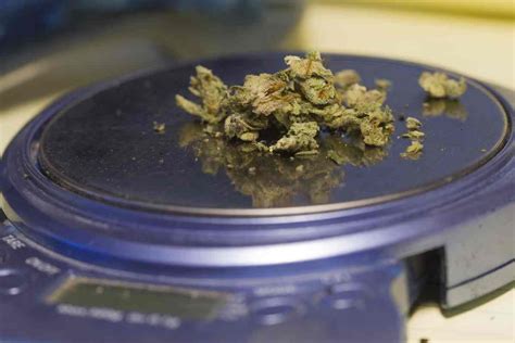 33mg/ml x 30ml = 990mg cbd. How Much THC: How Many MG Of THC Is In A Gram of Cannabis ...
