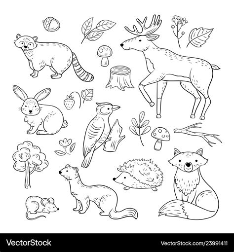 Sketch Forest Animals Woodland Cute Baanimal Vector Image