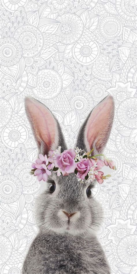 Pin By Cheryl Hart On My Bunny Easter Wallpaper Rabbit Wallpaper