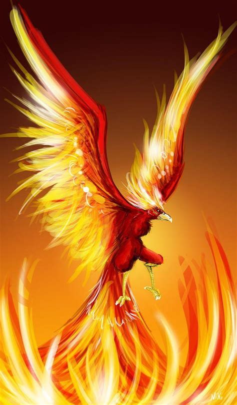 165 Best Phoenix Firebird Dragons And Phoenix Rising From Ashes Hd