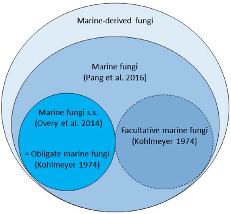 Overview Of The Different Definitions Of Marine Fungi And How They