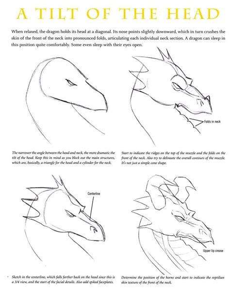 How To Draw A Dragon S Head Step By Step Instructions For Beginners And Advanced Students