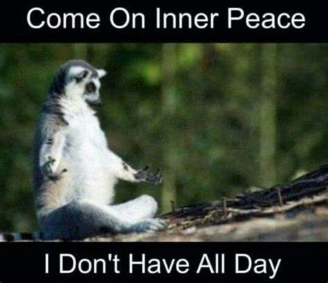 Inner Peace What Inner Peace Friday Humor Inner Peace Best Memes