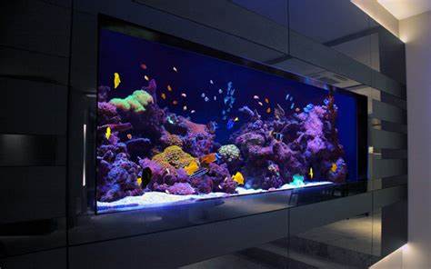  Residence Custom Made Aquarium contemporary aquariums and fish tanks