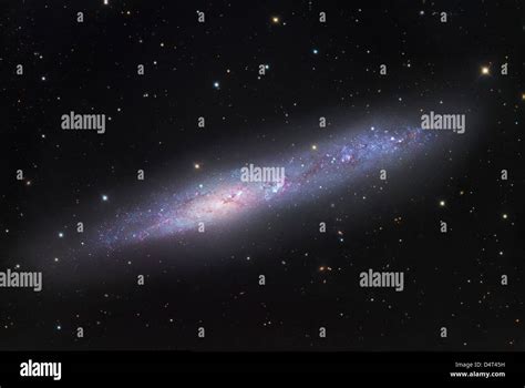 Ngc 55 Irregular Galaxy In Sculptor Stock Photo Alamy