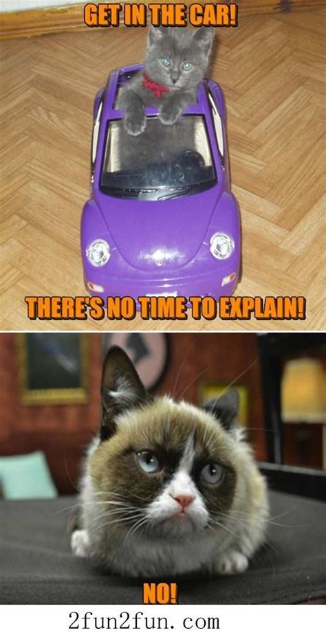 Grumpycat Meme For More Grumpy Cat Stuff Ts