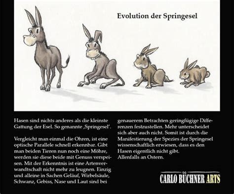 Der Springesel By Carlo Büchner Media And Culture Cartoon Toonpool