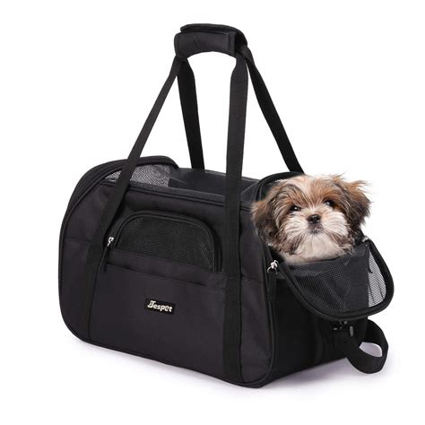 Best Dog Carriers Review For Large And Small Pet Top 10