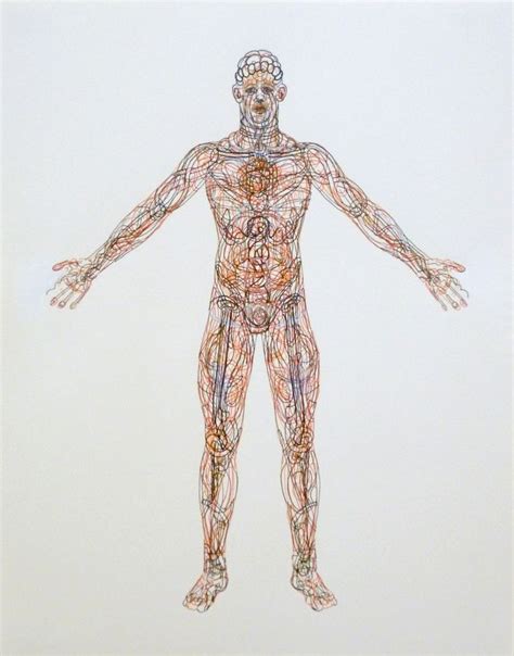 Recent Drawing Anatomy Diagram Figure By Cara Walz Human Anatomy