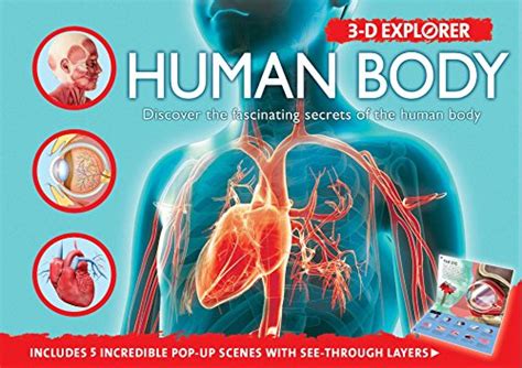 3 D Explorer Human Body 3d Explorers By De La Bedoyere Camilla New