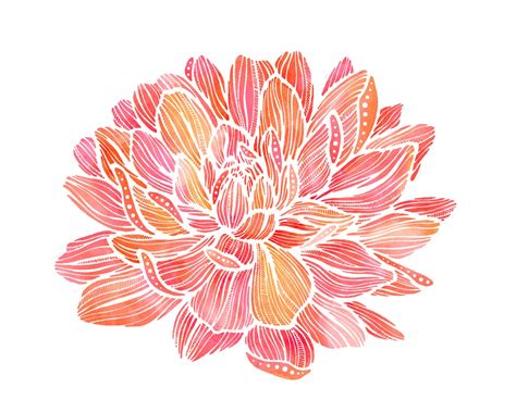 Dahlia Flower Watercolor Illustration Print 5x7 1000 Via Etsy