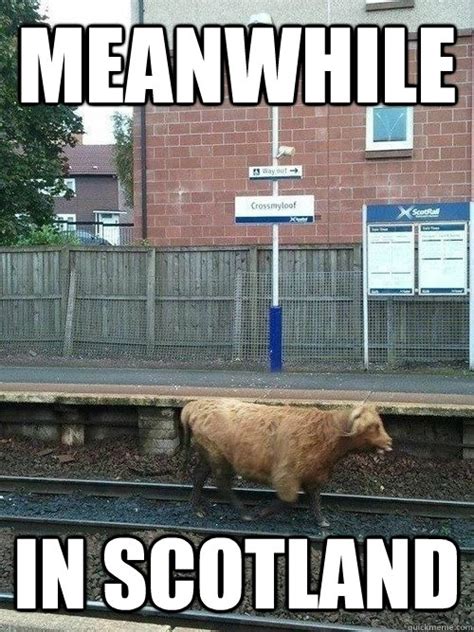 See more ideas about football memes, england football, soccer funny. meanwhile in scotland - ScotRail - quickmeme