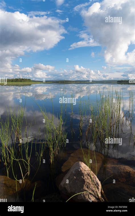 Lake In Lapland Finland Stock Photo Alamy
