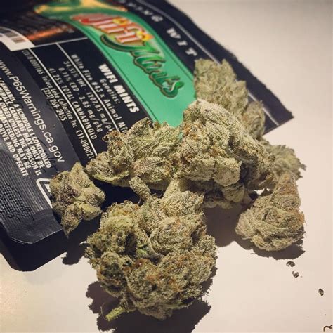 Her effect is one that targets the mind and body, and . Strain Review: WiFi Mints from TLC Collective - The ...