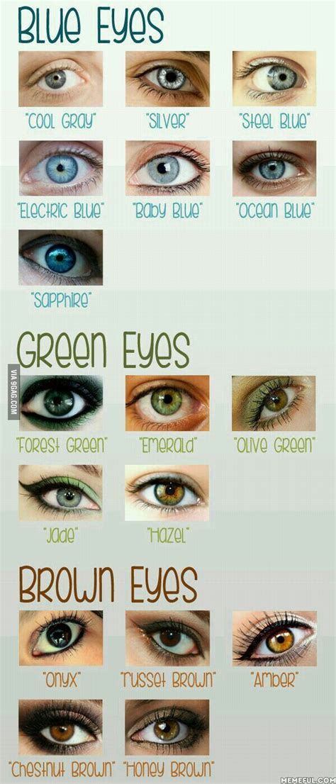 Eye Colour What Is Yours Eye Color Chart Eye Makeup Green Eyes