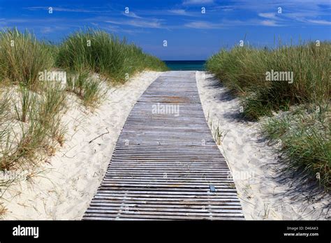 Boardwalk Path Through Sand Dunes To Beach Stock Photo Alamy