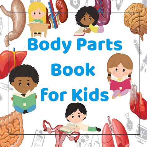 Buy Body Parts Book For Kids Teaching Body Parts To Children Anatomy