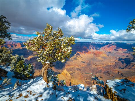 Bakgrunnsbilder Til Skrivebordet Grand Canyon Nasjonalpark Usa