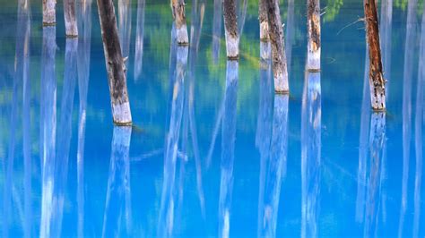 美瑛北海道日本ではブルーの池 2016 Bingのテーマの壁紙プレビュー