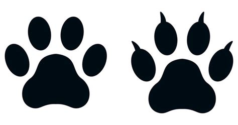 182 Best Cougar Paw Print Images Stock Photos And Vectors Adobe Stock