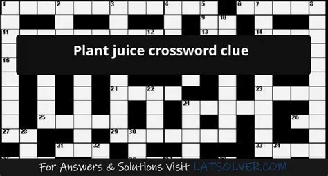 Plant Juice Crossword Clue