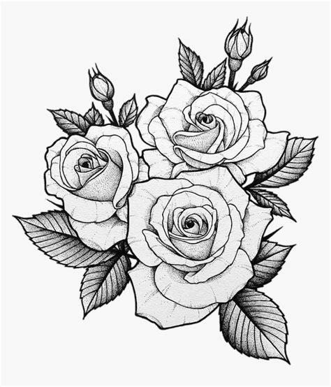 A Dibujar Rosas Petalos Hojas Verdes Ideas De Dibujos De Flores En
