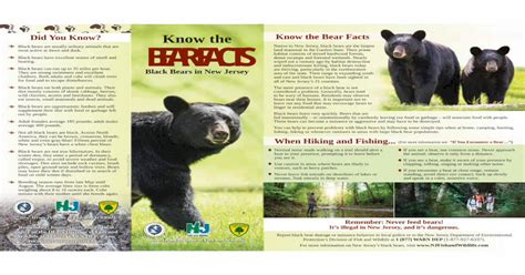Know The Bear Facts Brochure New Jersey · Know The Bear Facts
