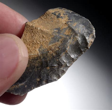 Choice Neanderthal Mousterian Backed Knife Flake Tool From Dordogne
