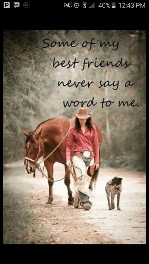Horses are the most lovable of all creatures! Pin by Emily Nelson on horse crazy | Horse quotes, Horses, Horse pictures