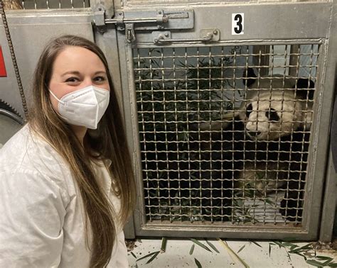 Panda Updates Wednesday May 25 Zoo Atlanta