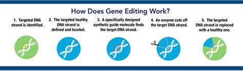 Gene Editing The Promise And Perils Of Editing The Human Genome