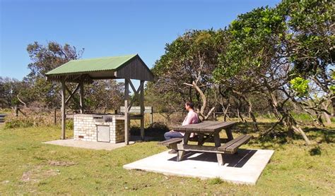 Check spelling or type a new query. Broadwater Beach picnic area | NSW National Parks