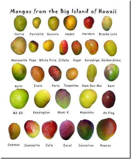 Types Of Mangos Mango Types Love Every One Of Themyum Mango