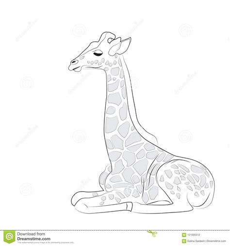 Black And White Giraffe Vector Illustration Stock Vector