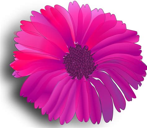 Onlinelabels Clip Art Flower Pink