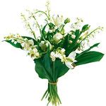 Vous n'avez plus qu'à faire votre choix ! Du muguet porte bonheur sur le site Interflora - Le ...