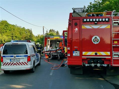 Tűzoltók szabadítják ki a sérültet Sárváron - darázs elhessegetése ...
